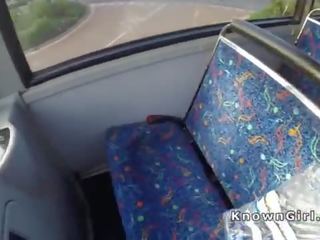 Matainas angļi amatieri ponijs uz publisks autobuss